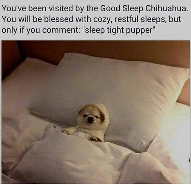Feel Good Memes to Make You Smile and Happy-6