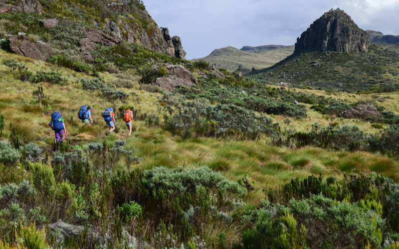 Discover Kenya's Wilderness: Ultimate 7-Day Backpacking Adventure!