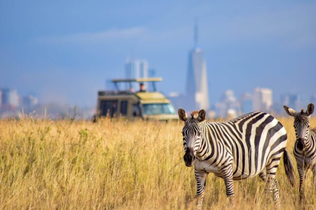 Enjoy the Nairobi National Park Safari