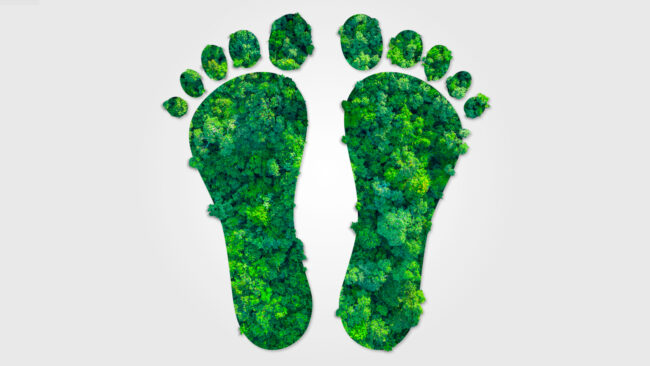 The Environmental Footprint