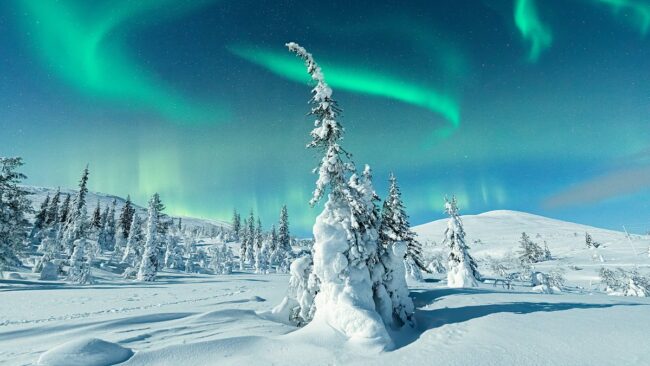 Winter and the Northern Lights